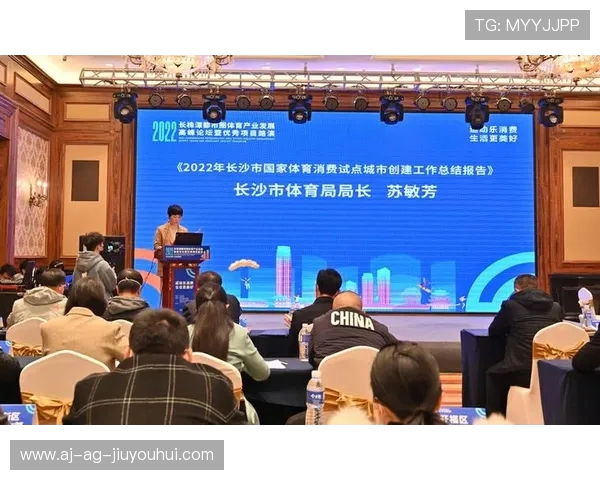 从足球长沙案例看城市体育产业发展与地方文化融合路径研究